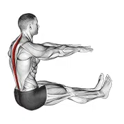 Recovery Stretching