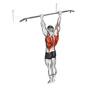 Strict Pull-Up