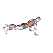 Tactical Plank Hold